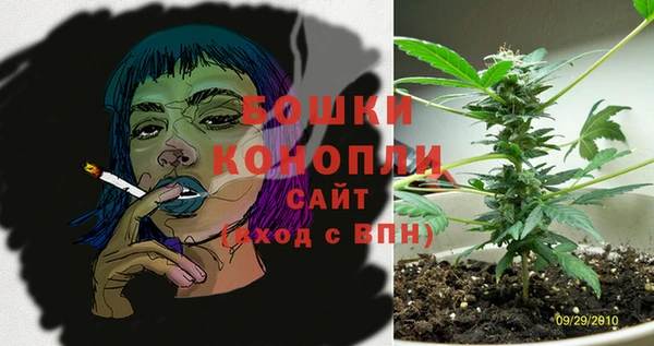 ГАЛЛЮЦИНОГЕННЫЕ ГРИБЫ Покачи