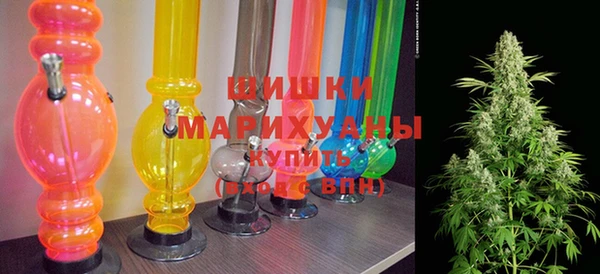 сатива Курчалой